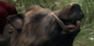 piggu.png